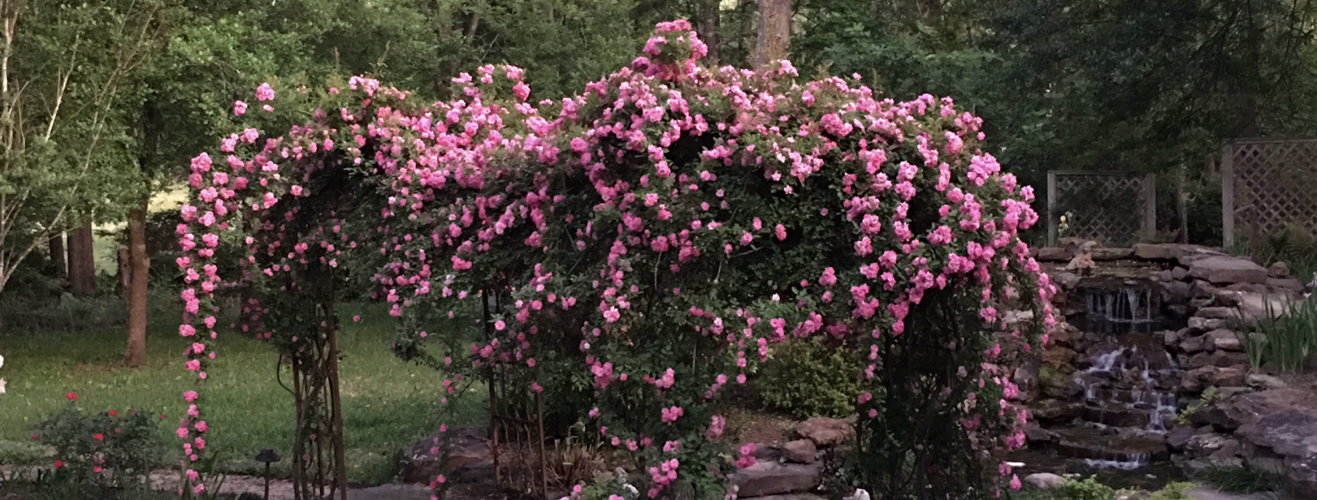 Dille Landscapes has provided <br />
landscape services since 1990